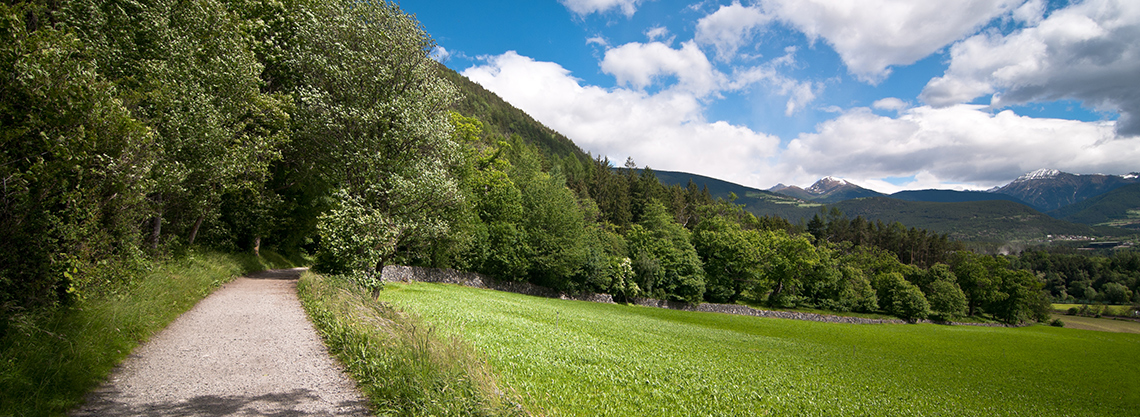 Wanderung zum Vahrner See