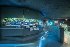 Nationalparkhaus aquaprad - Rampe