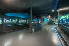 Nationalparkhaus aquaprad - Rampe
