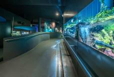 Nationalparkhaus aquaprad - Rampe