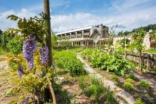 Gartenhotel Moser am See - Liegewiese