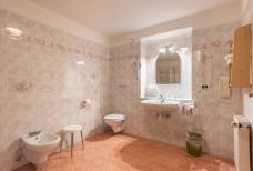 Badezimmer Apartment 117 Alpenrose