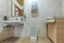 Panoramahotel Taljörgele - WC