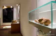 Naturparkhaus Fanes-Sennes-Prags-Dolomiten: Untergeschoss und Ausstellung zum Höhlenbären von Conturines