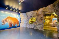 Museum Ladin Ursus ladinicus - Untergeschoss - Bärenhöhle