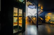 Museum Ladin Ursus ladinicus - Hebebühne