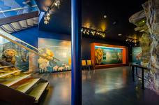 Museum Ladin Ursus ladinicus - Untergeschoss - Bärenhöhle