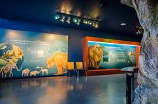 Museum Ladin Ursus ladinicus - Untergeschoss - Bärenhöhle