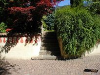 Hotel Amadeus - Scale e gradini