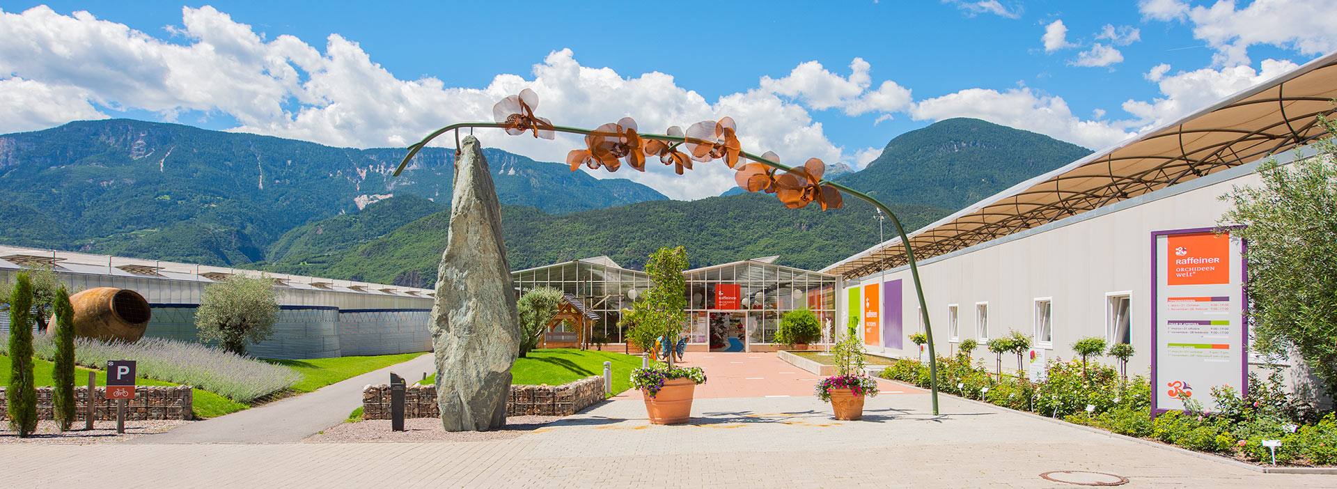 Raffeiner Mondo dell'orchidea