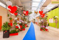 Ristorante Orchidea - Speisesaal