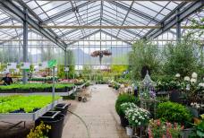 Vivaio e Giardino